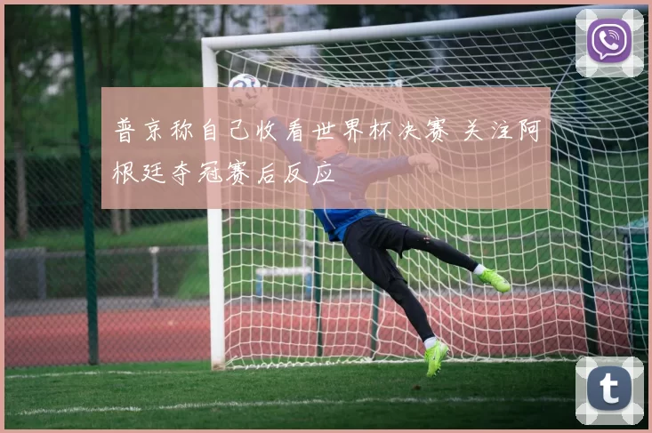 普京称自己收看世界杯决赛 关注阿根廷夺冠赛后反应