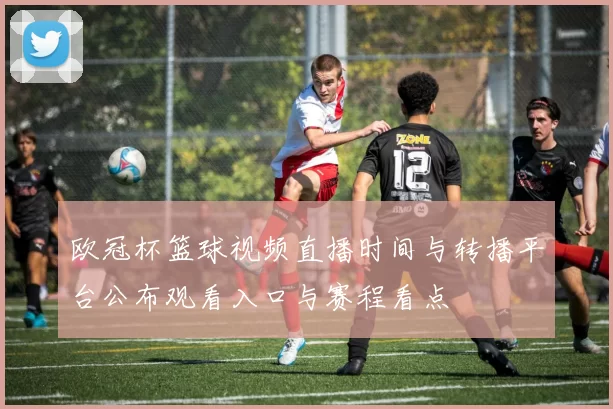 欧冠杯篮球视频直播时间与转播平台公布观看入口与赛程看点