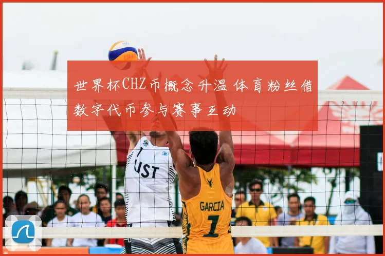 世界杯CHZ币概念升温 体育粉丝借数字代币参与赛事互动