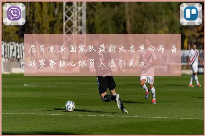 尼日利亚国家队最新大名单公布 备战赛事核心球员入选引关注