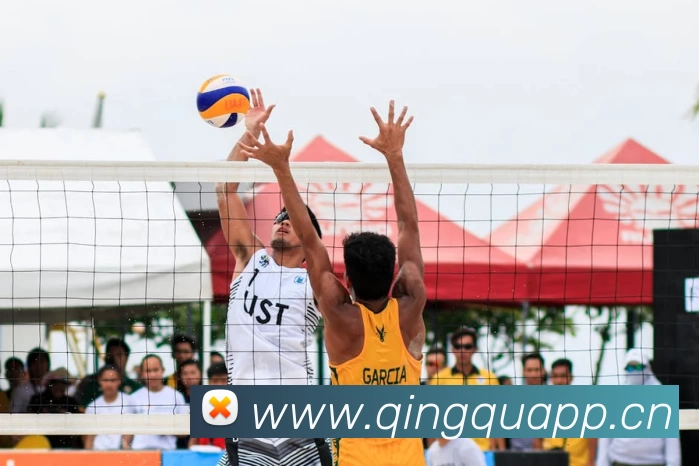 多媒体互动体验